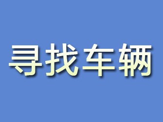 上街寻找车辆